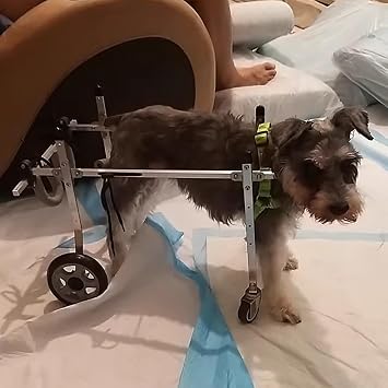 4 Wheel Dog Mobility Aids Stroller for Small Medium Large Dogs, Full Support Dog Wheelchair Four Wheels, Dog Knee Brace for Torn Acl Hind LegL