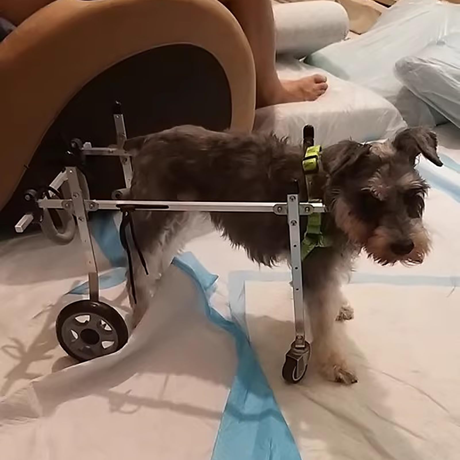 Silla de ruedas para perros con rodillera de soporte completo para ligamento