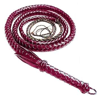 本革　一本鞭　ロング160センチ　バラ鞭 Amazon.co.jp: EnergyPower 鞭 ムチ 一本鞭 高級本牛革 2