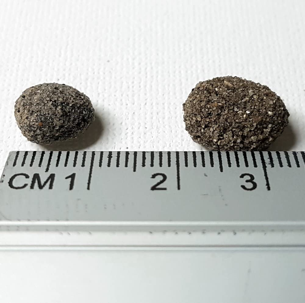 Biohome Biogravel est Un Nouveau Support filtrant pour Filtre d'aquarium ; matériau filtrant également adapté aux Conditions étroites - Bio.Biogravel.1 kg