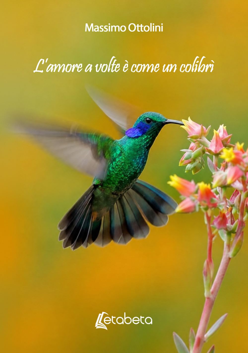 L’amore a volte è come un colibrì