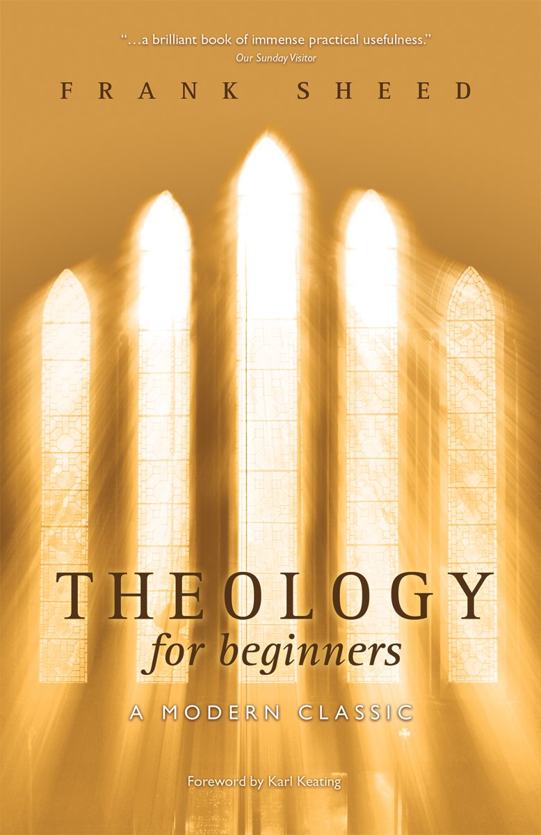 Buy Theology for Beginners — BookShops.in