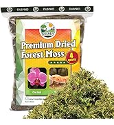 Small manufacture image 8