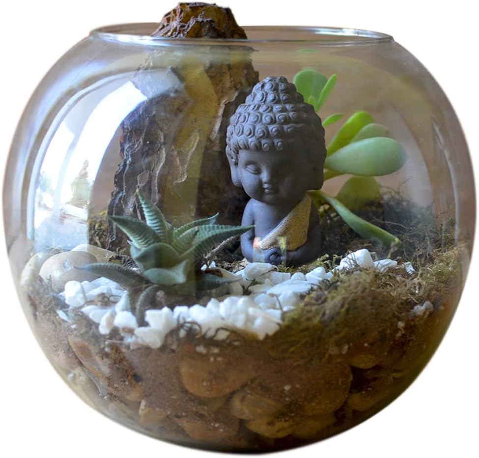 myBageecha - The Pondering Buddha DIY Terrarium Kit Live Plants Wood Zen Miniature Home Garden Decor Glass Gift Items Beautiful House Decoration Tabletop 8 Inch