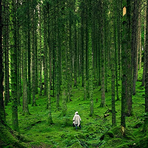 Sleep Zone Cosy Sound for Babies Sleep Zone Cosy Sound for Babies