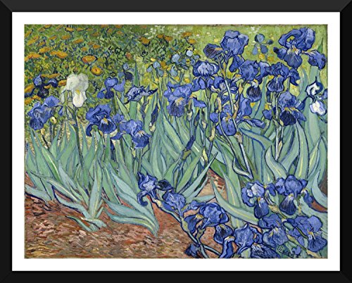 Image of Tallenge - Irises - Top 10 Vincent Van Gogh Poster Collection - Post Impressionist Painter?- Small Poster Paper - Framed (12 x 17 inches)