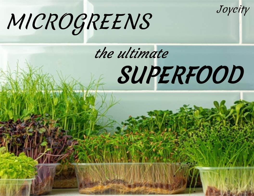10 Varieties of Microgreen Seeds Combo (4600+ Seeds) for Home | Balcony | Terrace (B0C2NKTR66) Amazon Price History, Amazon Price Tracker
