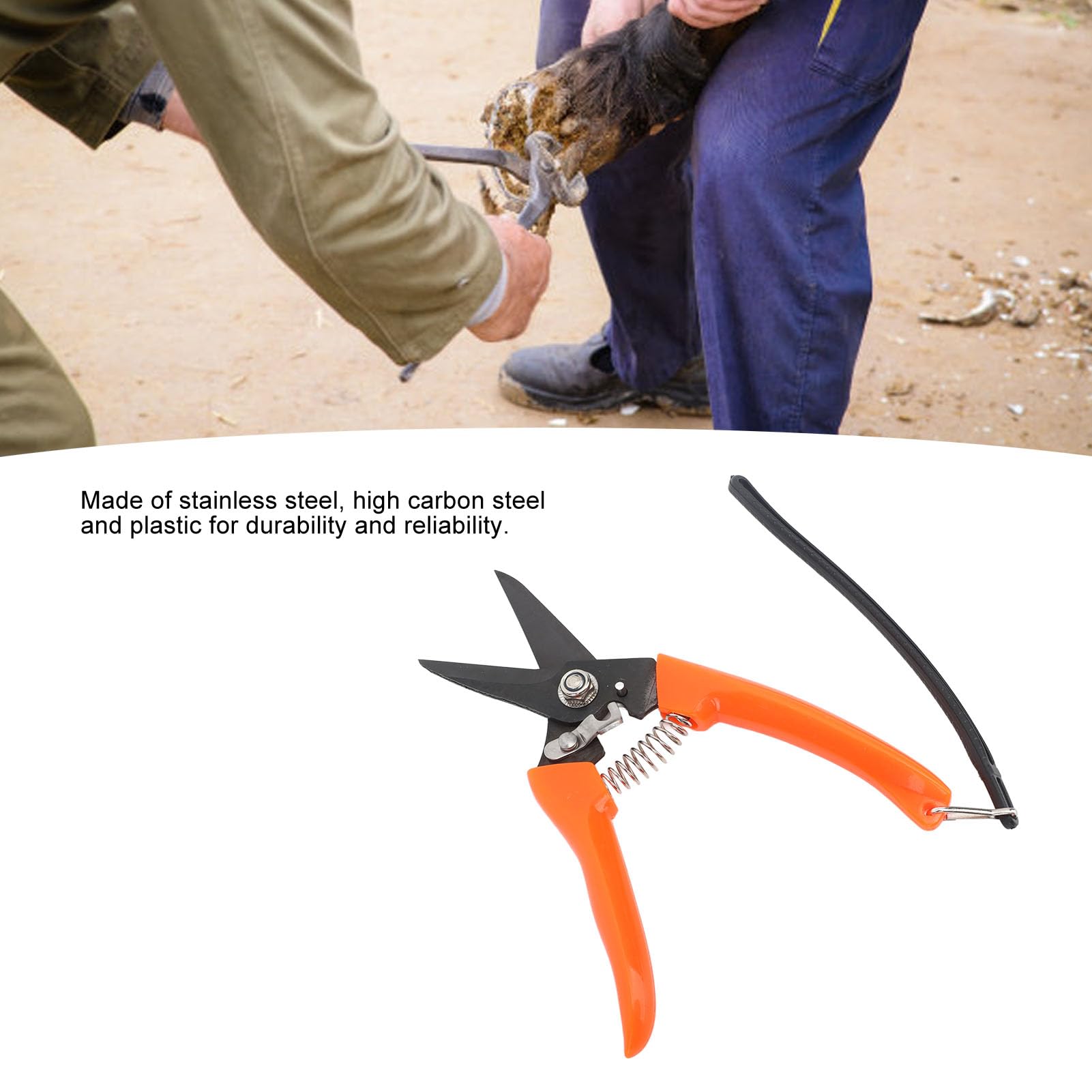 Ciseaux pour onglons en Acier Inoxydable Rouge, Ciseaux pour l’Entretien des onglons en Acier à Haute teneur en Carbone, Ciseaux Professionnels pour la Taille des onglons de