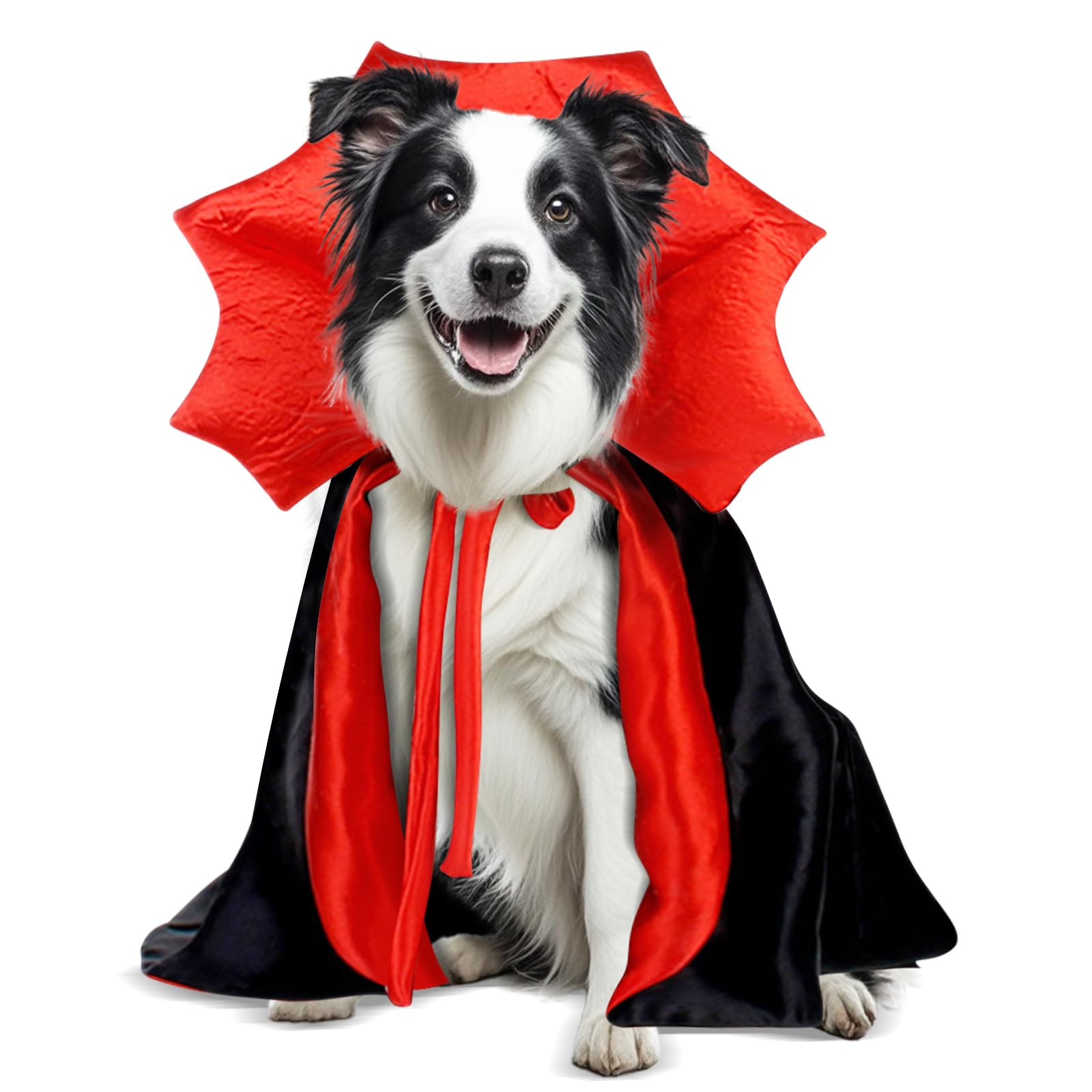 Halloween Costumes for Medium Dogs, America Bulldog Border Collie Vampire Cape M Red Black (Vampire, Large)