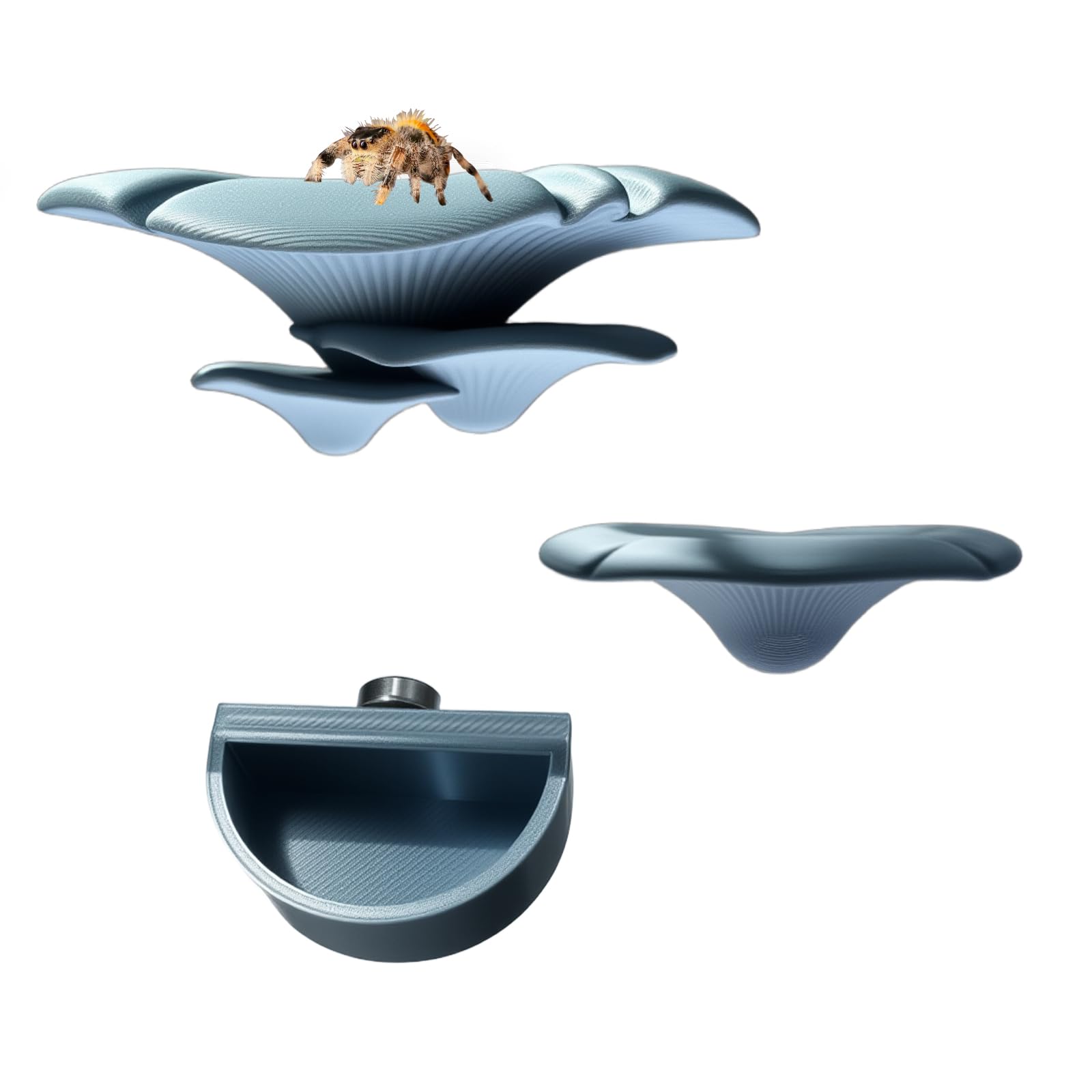 2 Pack Jumping Spider Accessories Mushroom Ledges & 1 Pack Water Bowl with Magnets for Spoods Jumping Spiders Magnetic Ledge Ladder Pet Spider Accessories (Not Included The Terrarium) (beige)