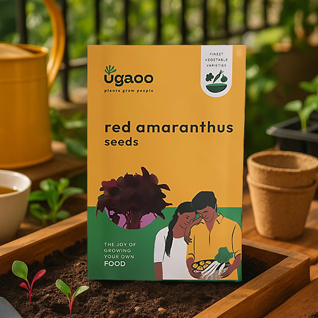 UGAOO Red Amaranthus Vegetable Seeds (Pack of 10g)