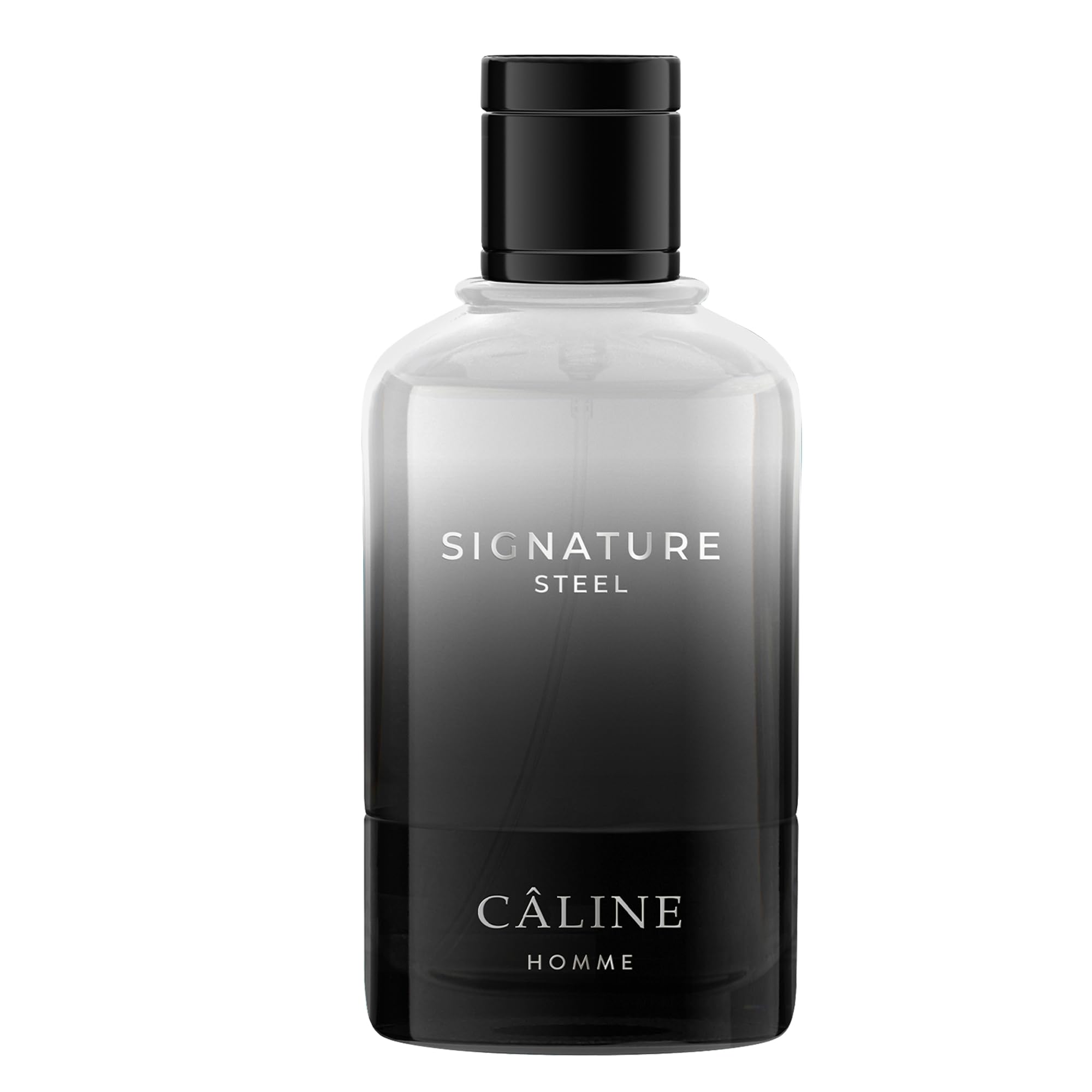 signature steel EdT 60 ml
