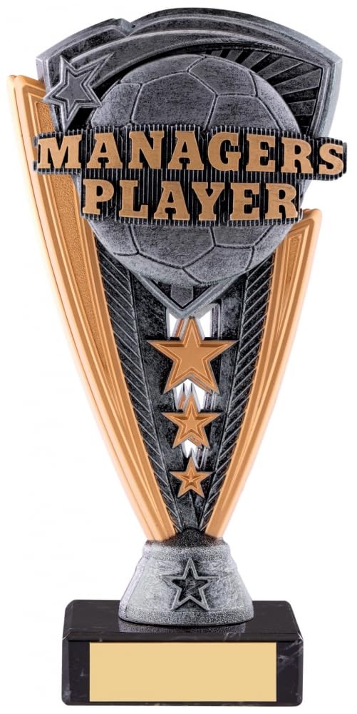 Utopia Manager's Player Football Trophy Award Gunmetal and Gold 185mm Free Engraving GOOD -CL