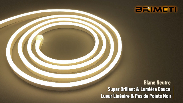 Bande LED Néon Extérieur 5m IP65 Blanc Froid - 220V - Flexible Et Découpable - Avec Adaptateur