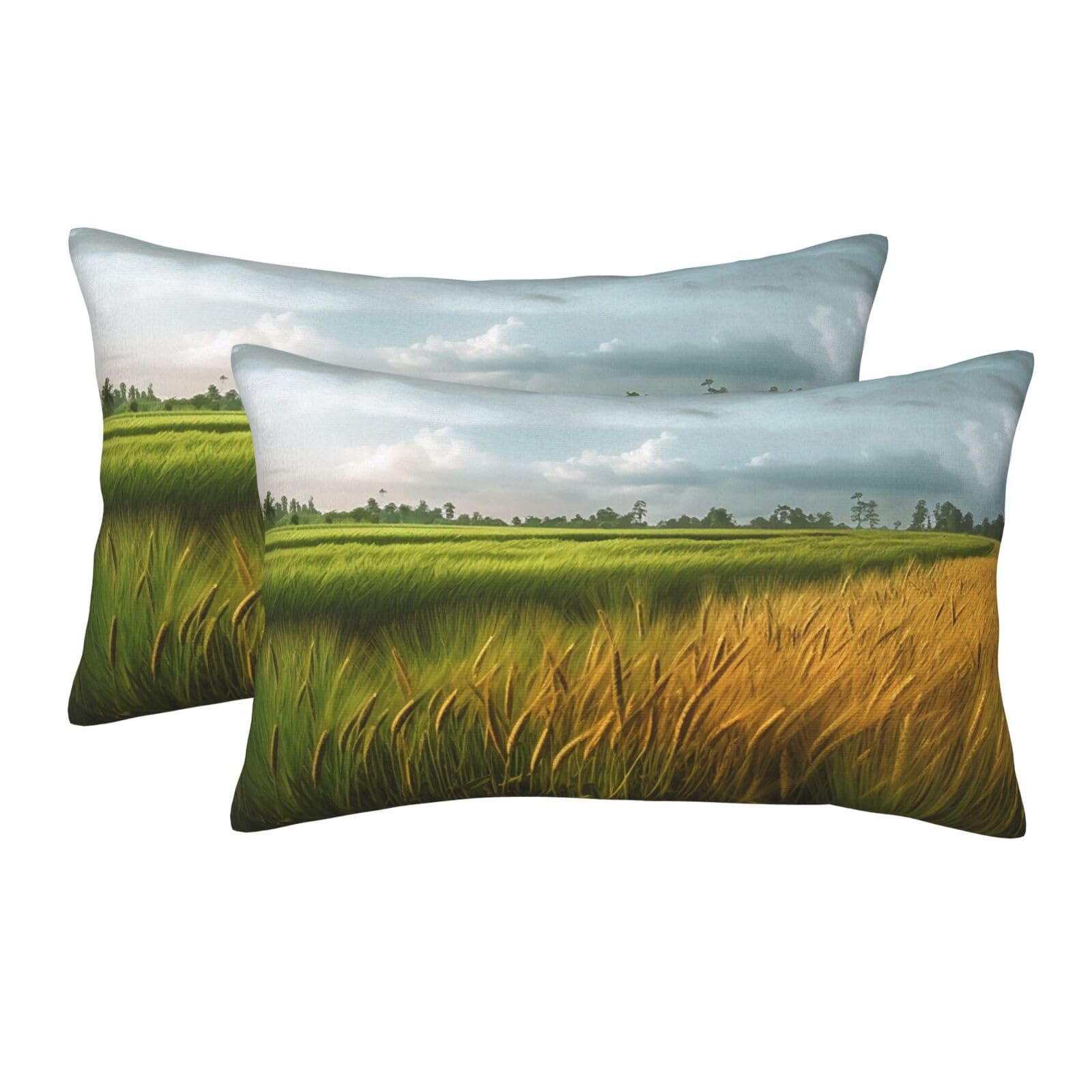 2 Pack Standard Size Pillow Cases for Hair and Skin Soft Breathable Pillow Case Covers with Hidden Zipper Paddy Rice Field Pillowcase 16"x24" Pillow Cover for Sleeping Gift