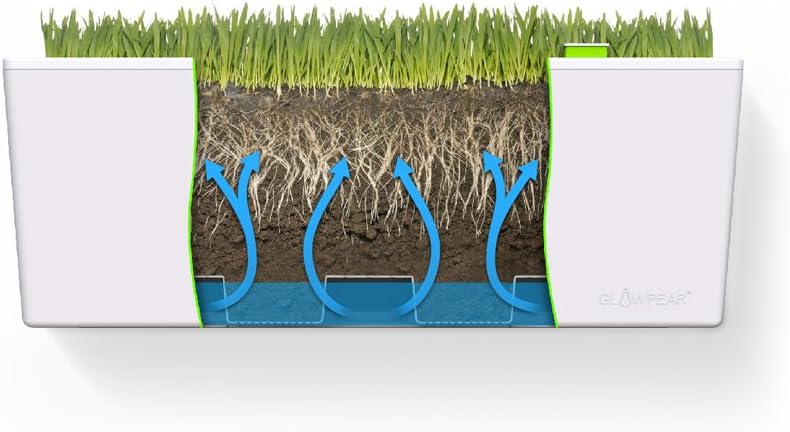 Glowpear Self-Watering Mini Bench Planter : Garden & Outdoor