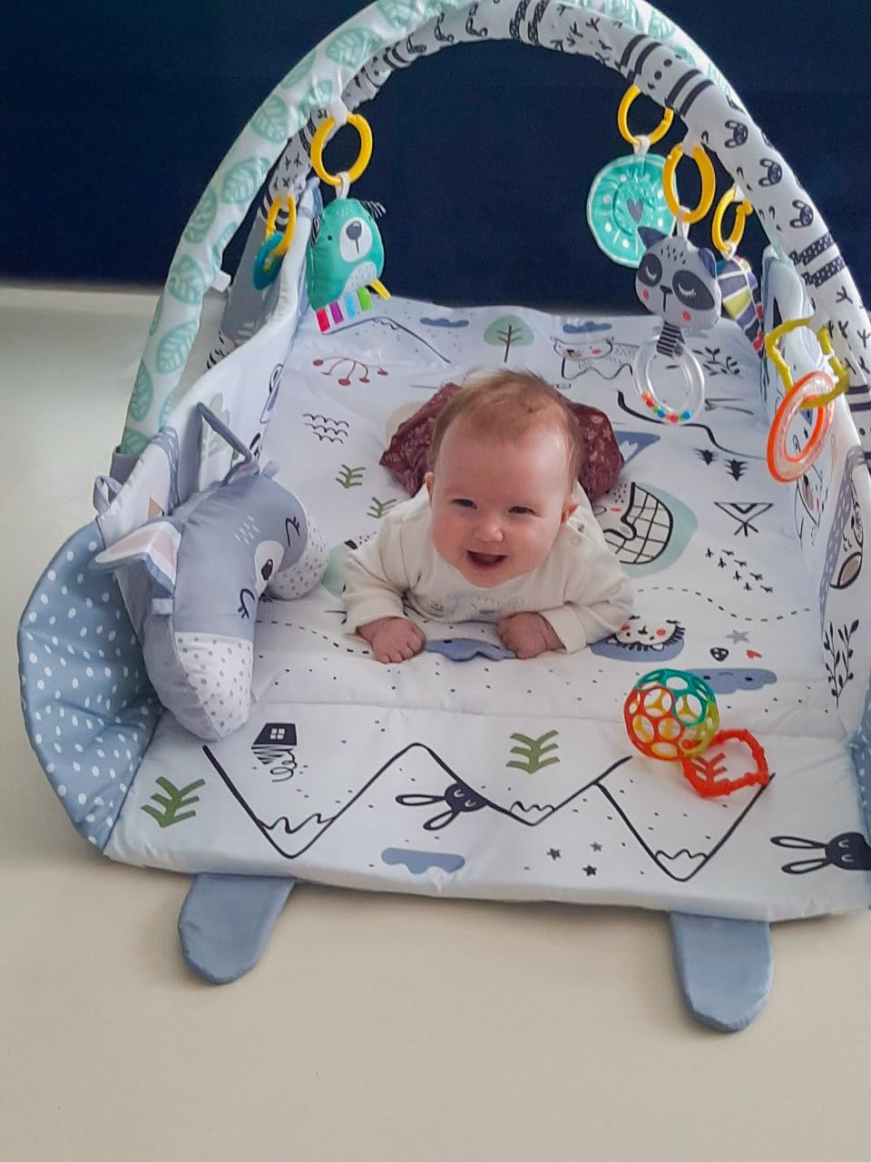 Tapis d'Éveil Bébé avec Arche Évolutif 20 Balles 5 Jouets Multifonction