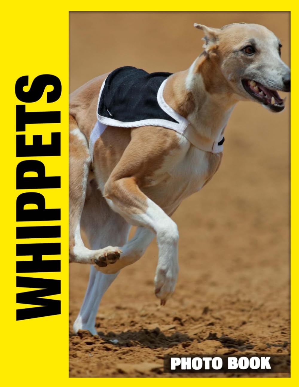 Whippets Photo Book: Elegant Racing Dogs In Dynamic Action Photography Capturing Graceful Movement And Sleek Profiles In Various Outdoor Settings