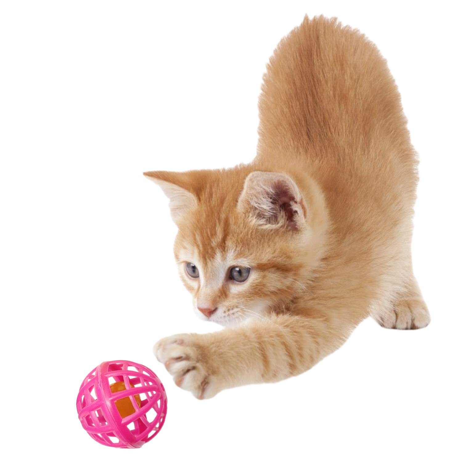Amazon | PLATZ PET SUPPLIES & FUN 猫用おもちゃ ラティスボール 4P