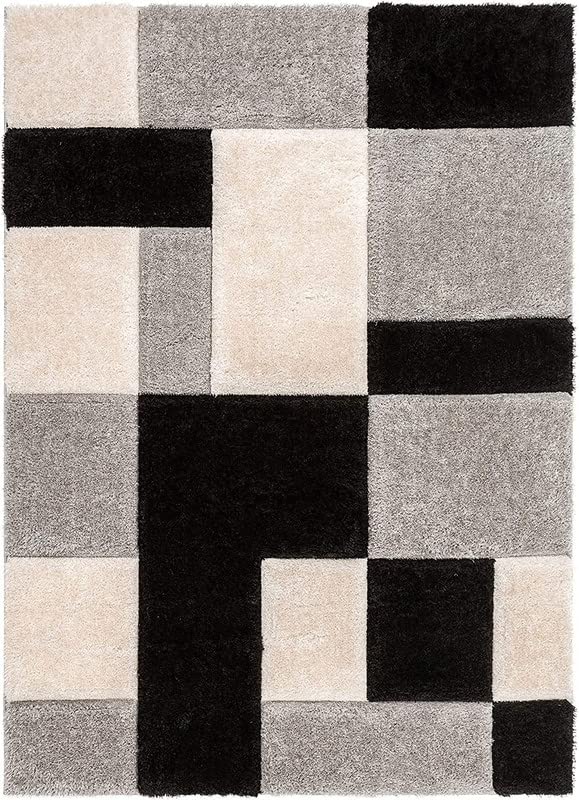 Image of Shaggy Carpet for Living Room 3 X 5 FEET Fluffy Plush Area Rug, Thick Fur Floor Carpet Modern Cozy Rug for Home Decor, Kids Room Bedside Hall, Durable Comfortable Shaggy Rug (Black)