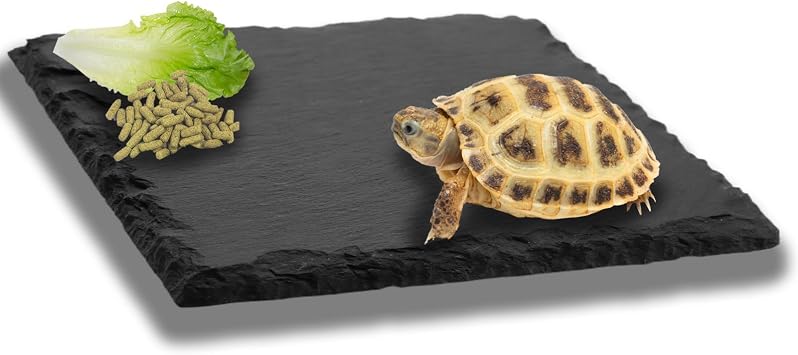Reptile Basking Slate Platform Aquarium Tortoise Bathing Resting Platform,10x10cm Turtle Habitat Slate Pad Turtle Feeding Food Bowl Dish Resting Natural Rock Platform Accessories DecorationBlack