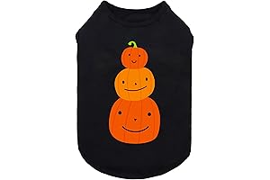 Fitwarm Thanksgiving Triple Pumpkins Dog Shirt: Fall Fashion for Your Furry Friend