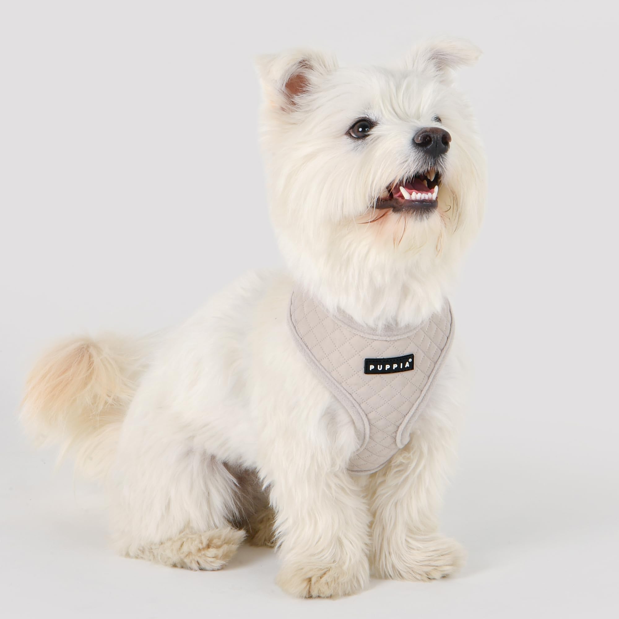IRVIN HARNESS A Dog harness Cream S - Image 4