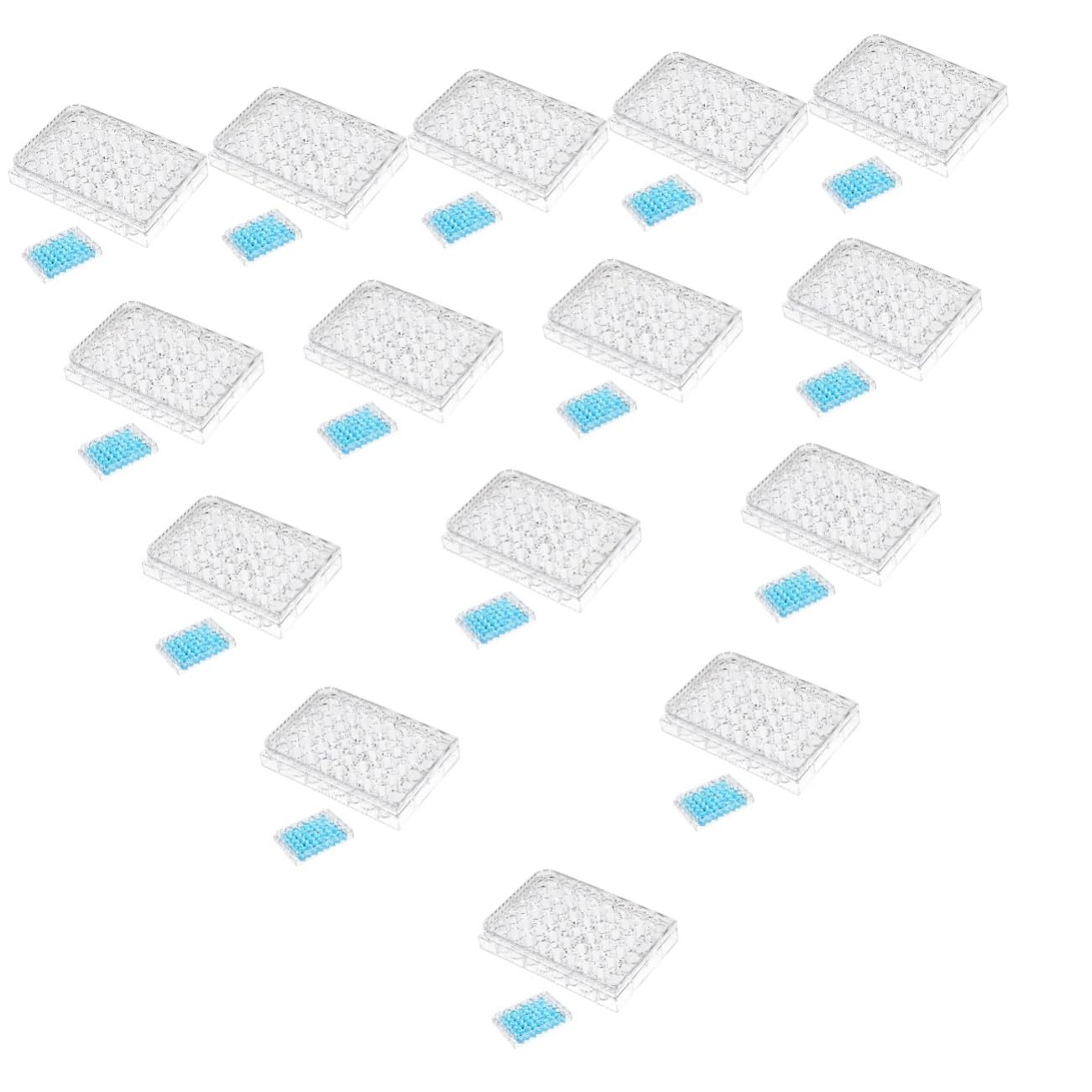OUNONA Pocillos Microbiologia 15 Piezas De Cultivo Celular De Cultivo De Tejidos Pastillero Para Bandeja Vacía Placas De Agar y Platos De La Cultura De Cultivo Para Plato De Cultivo