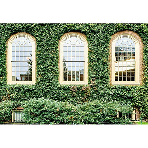 3 x 2 m Frühlingslandschaft Hintergrund Efeu Mauer in Harvard USA, grüner Hintergrund Fotografie Frau Mädchen Lady Valentinstag Reise Tapete