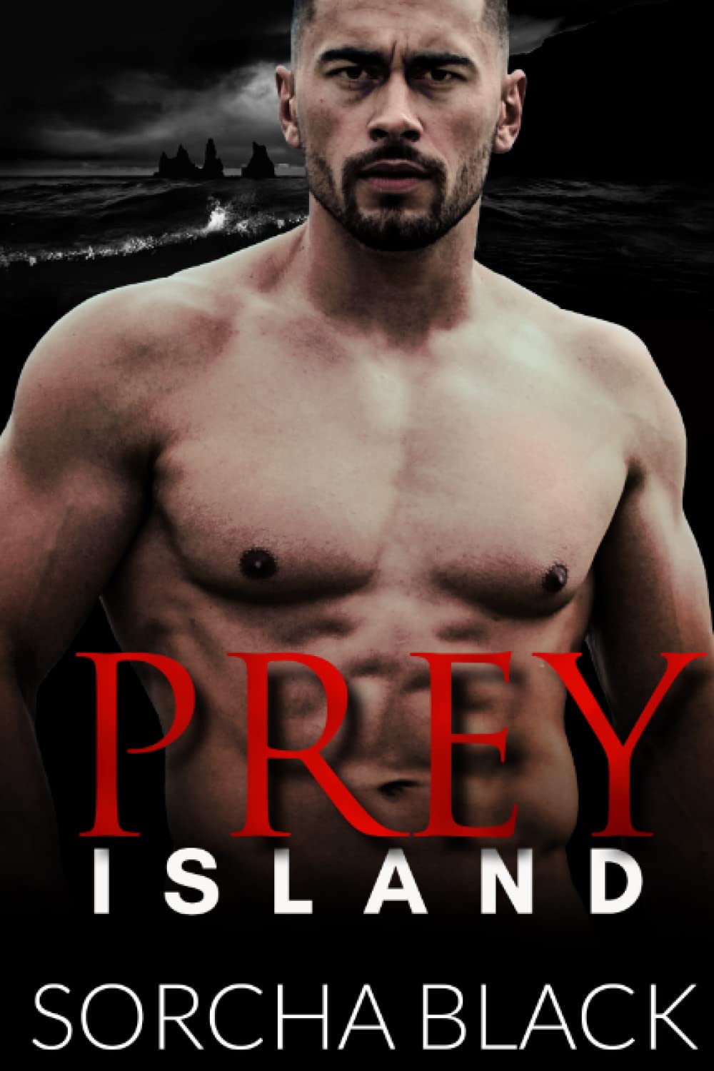 Prey Island: An MMF Bisexual Rough Romance (Chase Islands)