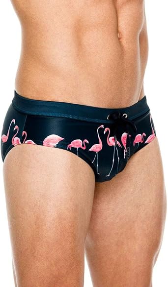 Lukitty Men's Flamingo Print Thong Swimwear Bikini Pouch Briefs Beach Swimsuit