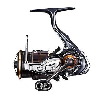19バリスティックFW LT2500S-C Amazon | ダイワ(DAIWA) スピニングリール 19 バリスティック FW