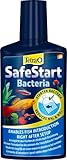Tetra SafeStart Aquarienstarter - mit lebenden nitrifizierenden Bakterien, erlaubt den schnellen Einsatz von Fischen, 250 ml Flasche