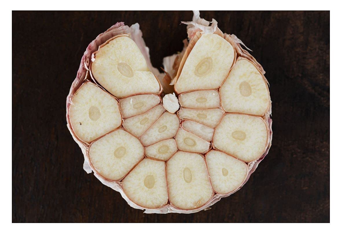 Greenist Bio Knoblauch trocken Demeter 0,5kg 1er Pack