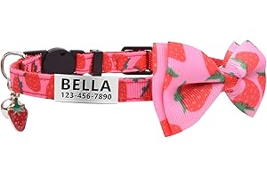 La Reine Personalized Breakaway Cat Collar: Safety and Style for Your Feline Friend