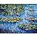 Produktbild Dabobo Painting by Numbers Malen nach Zahlen Malerei Kalligraphie Bilder Tapete DIY Ölgemälde nach Zahlen Kits auf Leinwand Zeichnung von Claude Monet,gerahmt,50X65cm