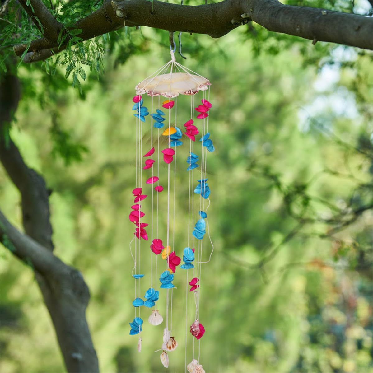 Campanello a Vento Conchiglie, Decorazione Esterna Colorata, 2 Pezzi