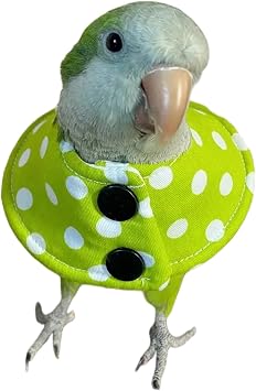 Bird Collar Anti Bite Elizabethan Recovery Cone, Bird Neck Protector for Feather Plucking, Skin-Friendly Bird Neckwear Full Body Shield for Parakeet Conure Cockatiel Green, L white B2