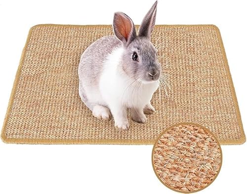 ETMXNb`}bg ܂ƂV[g ܌ X ETM VRTCUpbh `` ߂Ƃ|[yA ybg̃P[Wpi J炵 ϖ Lp܂Ƃ}bg \t@ Ƌی VRTCToj[XNb`}bg̒܂Ǝ̃PAĂ