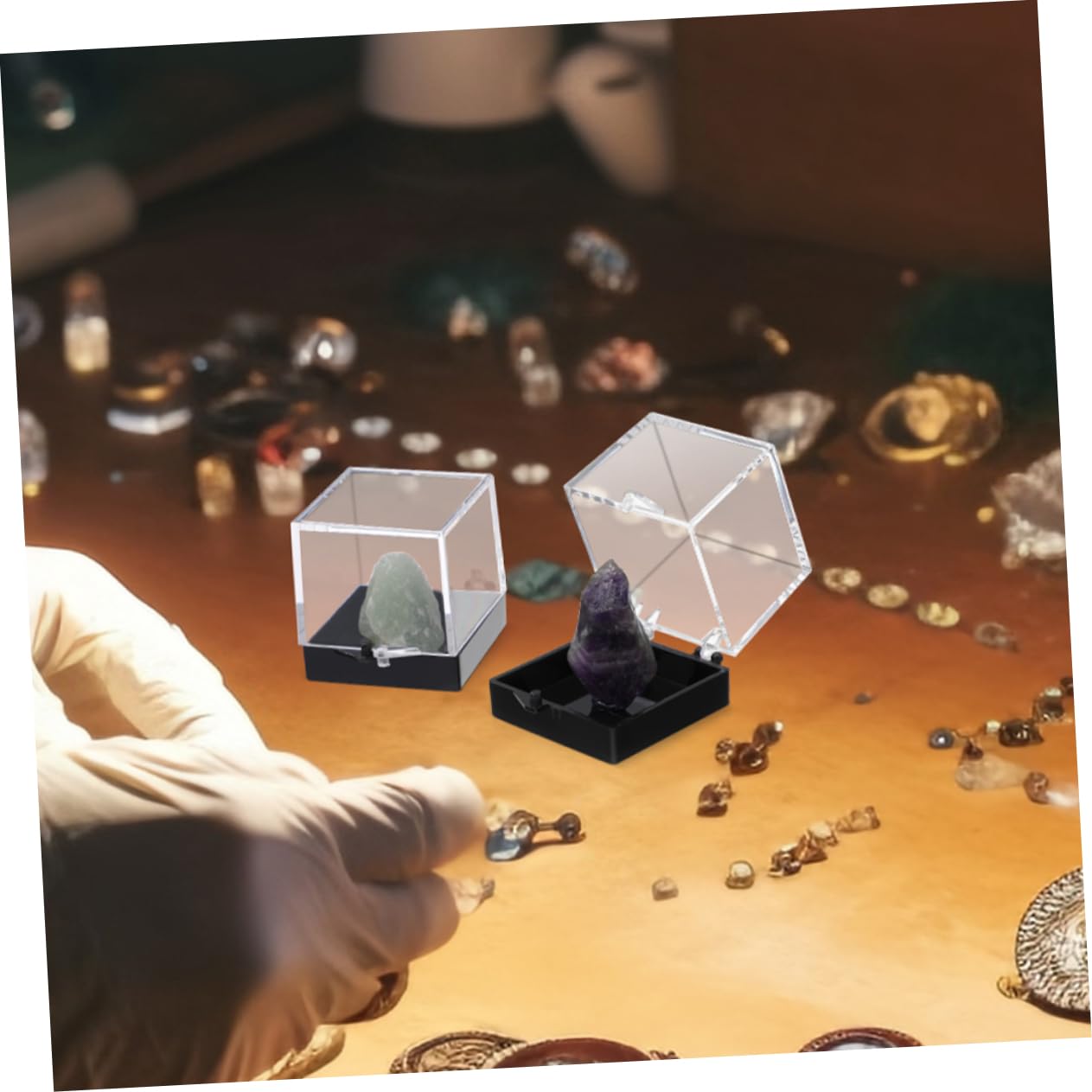 10St Kuchenform Ausstellungsbehälter Probenvitrine Box mit Mineralsteinen Protect schutzzelt Probenbehälter Mineralienvitrine Spar Aufbewahrungskiste Musterbox Container Plastik