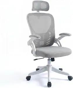 Ergonomic High Back Mesh Office Chair with Adjustable Headrest & Flip Up Armrests, Grey