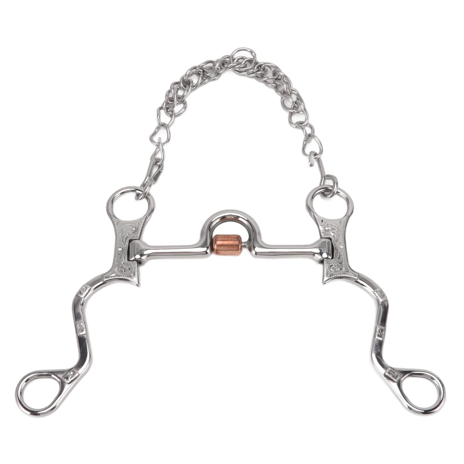 Filete de Boca de Caballo de 120 mm con Cadena, Broca de Caballo de Acero Inoxidable para Equipo de Entrenamiento Ecuestre