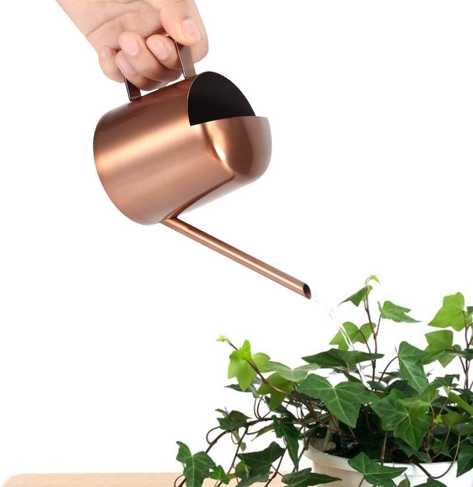Horoper Watering Can for Indoor Outdoor Plants, 300ml Stainless Steel Small Watering Cans with Spout and Handle, Watering Cans for House Plants for House Plants Succulents and Bonsai