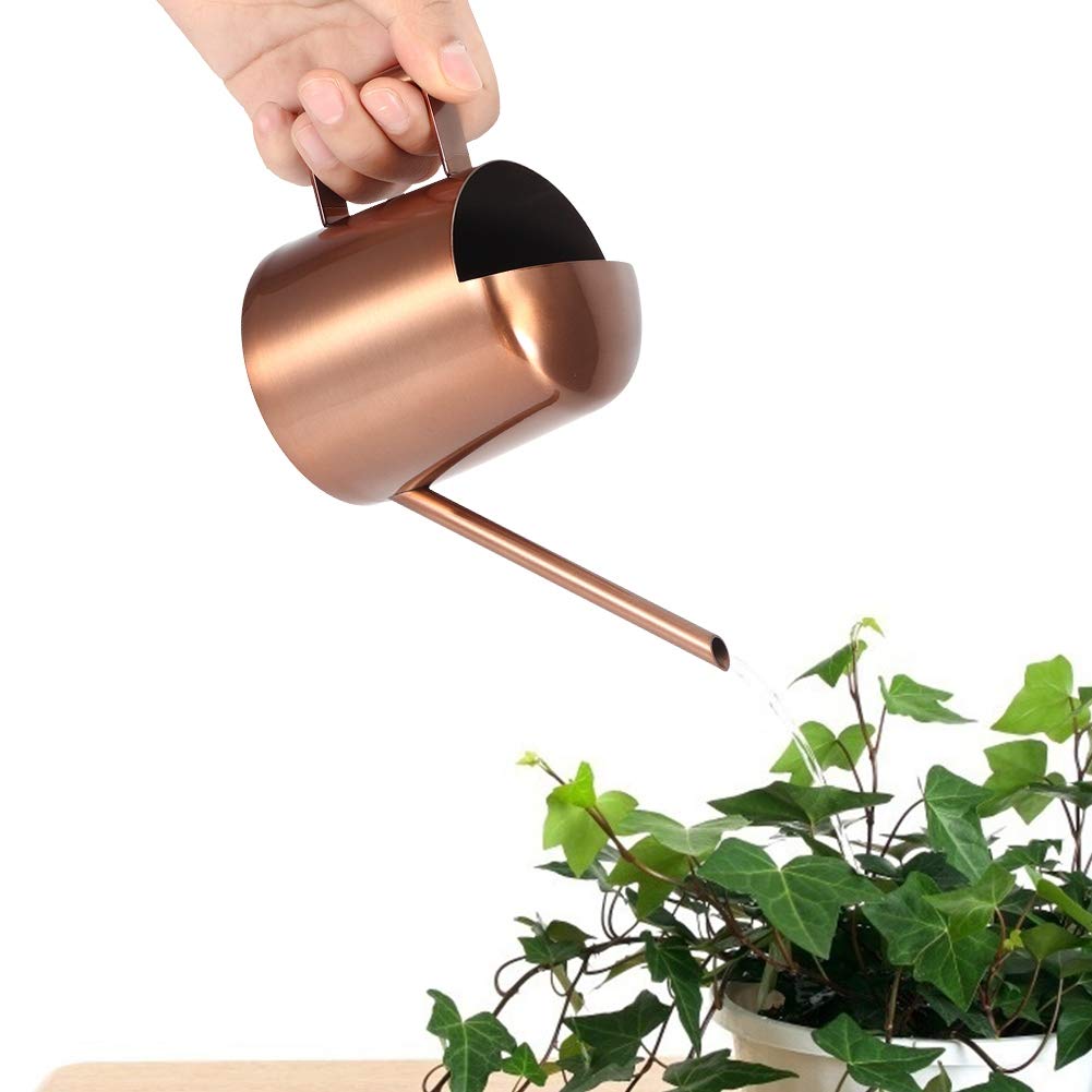 Annaffiatoio In Acciaio Inossidabile Con Beccuccio Lungo – Capacità 1500ml – Ideale Per Piante Da Interno E Giardino, Vaso In Metallo
