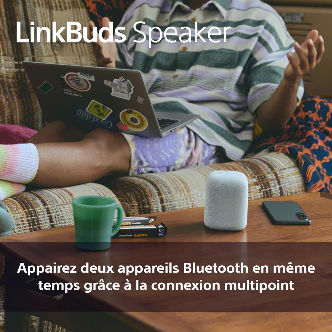 Sony Enceinte LinkBuds - Enceinte Portable sans Fil Bluetooth, IPX4, Résistante à l'eau, Batterie de 25 Heures, Qualité d'Appel Clair, Outdoor, Voyage - Noir