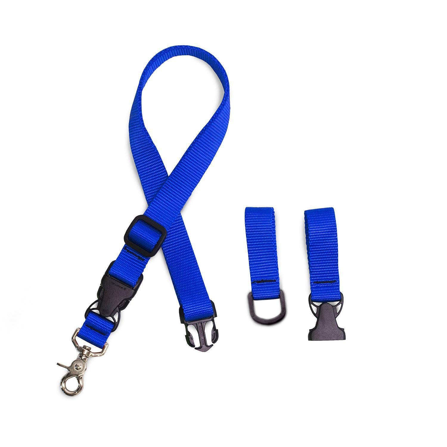 Laisse pour chien mains libres Buddy pour courir en ville