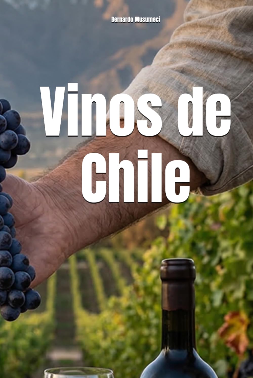 Vinos de Chile (Wines of the World: Chile)
