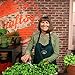 Vegetable Gardening: Innovative Small-Space Solutions