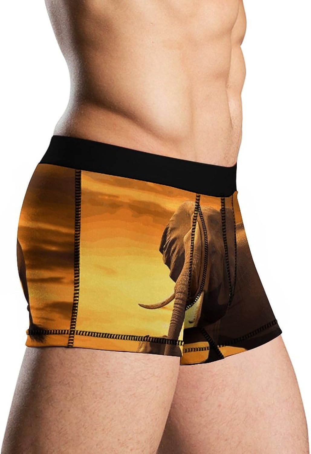 Elephant Mens Boxer Briefs Short Breathable Underwear Trunks Soft Moisture-Wicking Boxer Shorts Novelty Underpants
