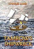  TAMBOW\'S SHIPWRECK (TAMBOW THE WOMBAT Book 3) (English Edition)